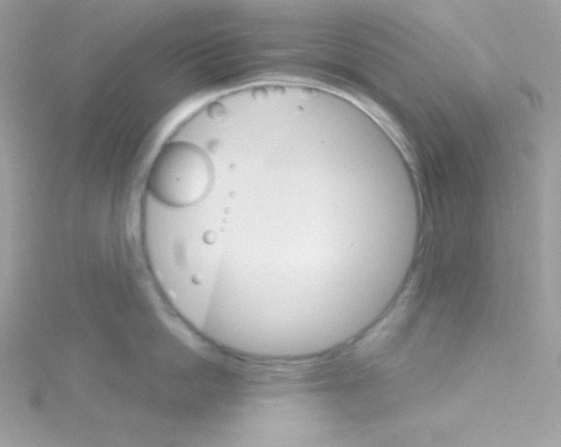 X0000114400862200911271516