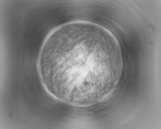 X0000114400863200911271516