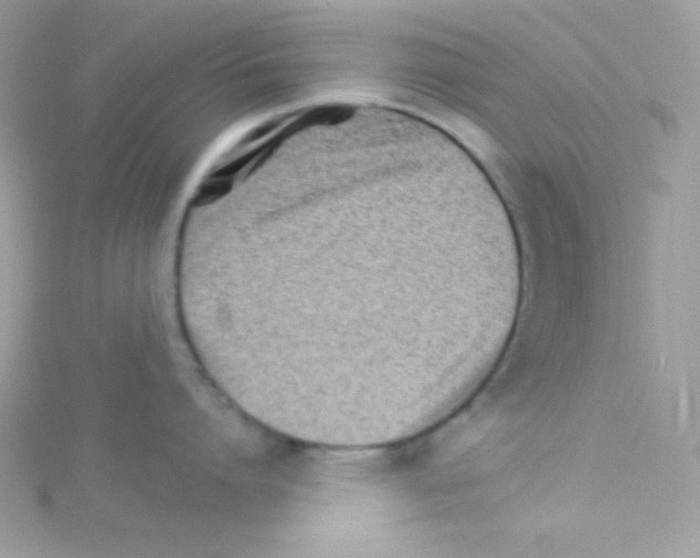 X0000114400864200911271516