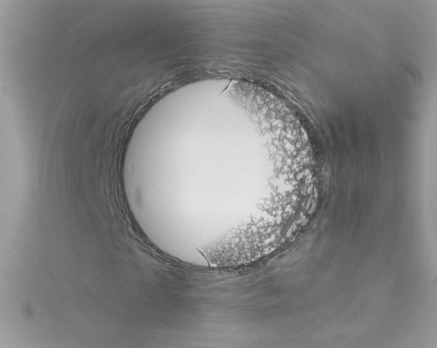 X0000114400865200911271515