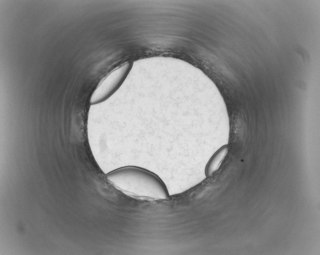 X0000114400868200911271515