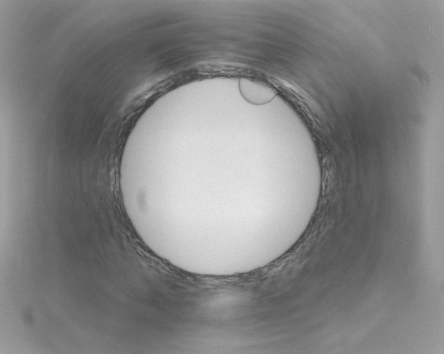 X0000114400870200911271515