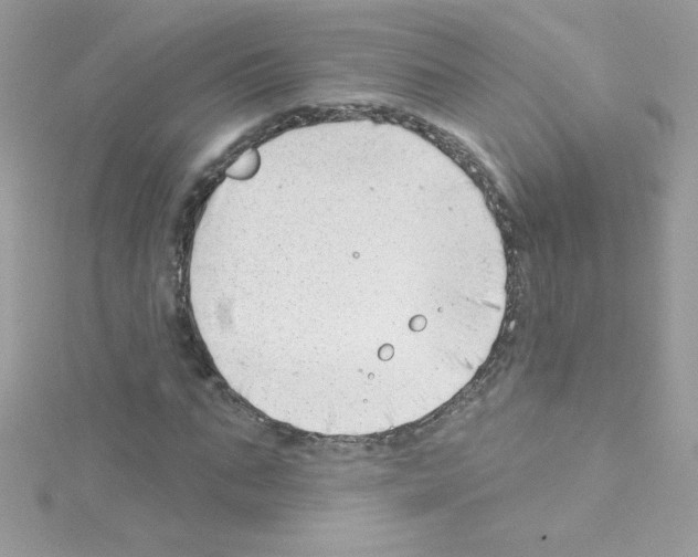 X0000114400871200911271515