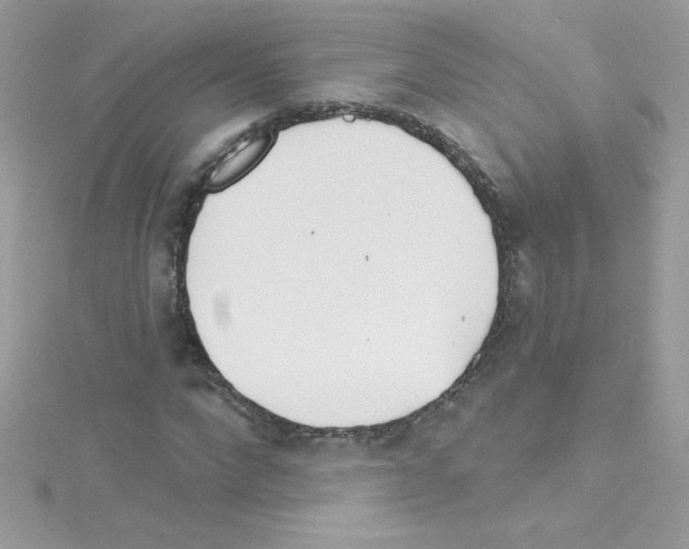 X0000114400872200911271515