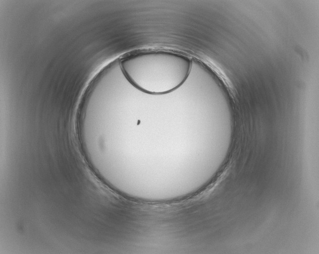 X0000114400876200911271515