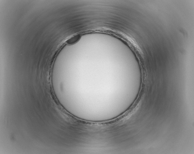 X0000114400881200911271515