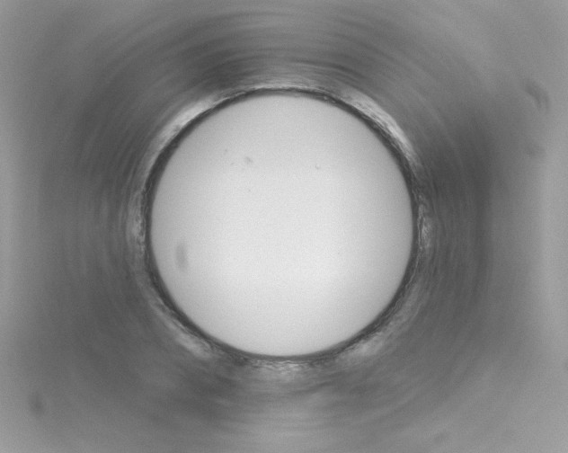 X0000114400882200911271515