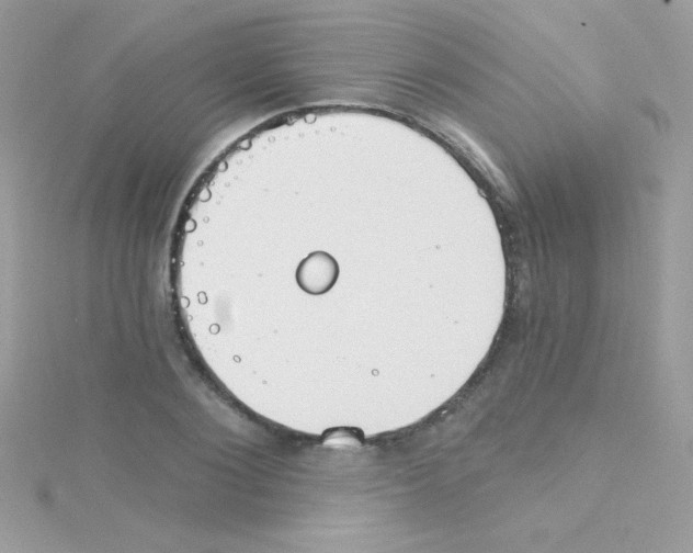 X0000114400884200911271515