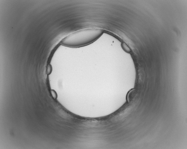 X0000114400885200911271515