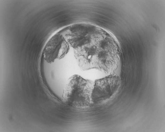 X0000114400887200911271515