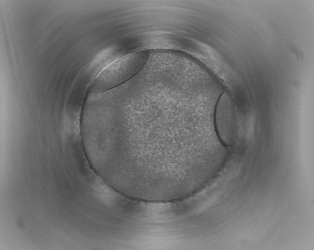 X0000114400889200911271515