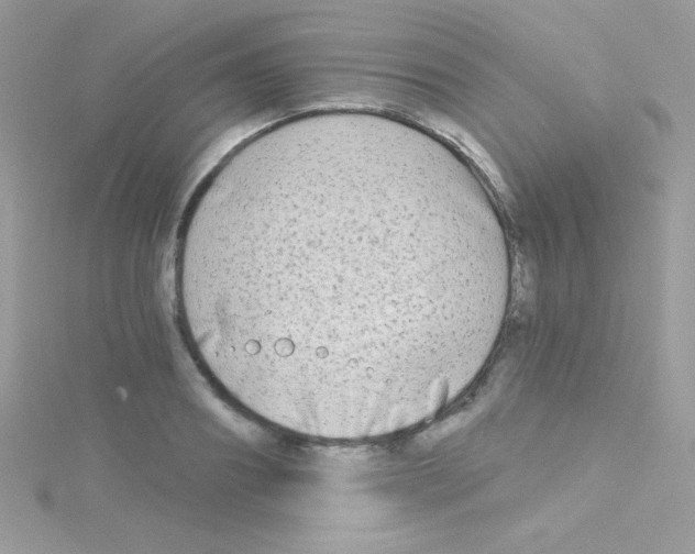 X0000114400890200911271515