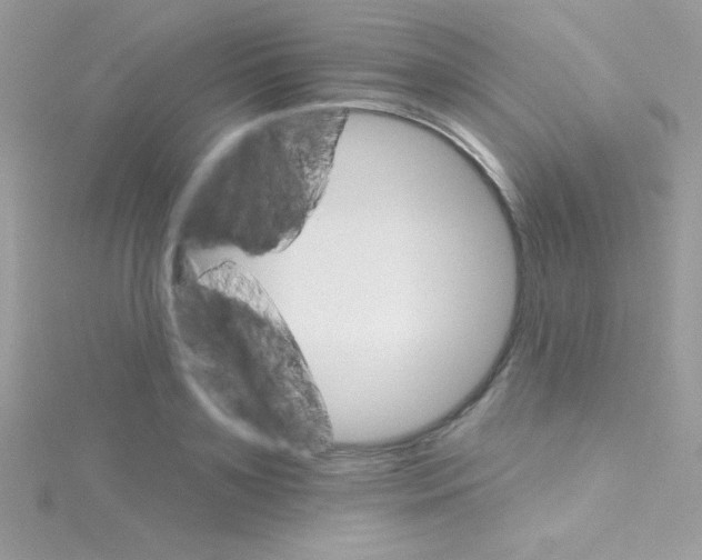 X0000114400891200911271515