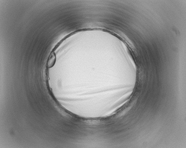 X0000114400893200911271515