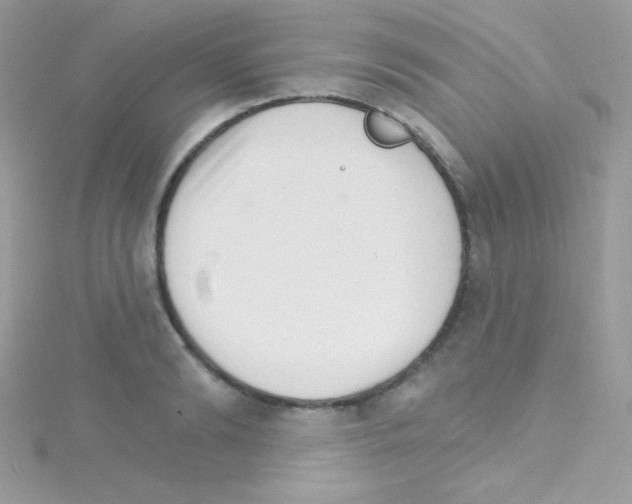 X0000114400894200911271515