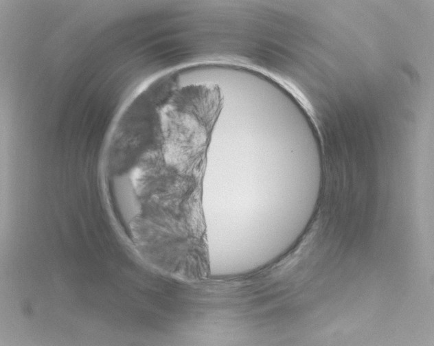 X0000114400895200911271515