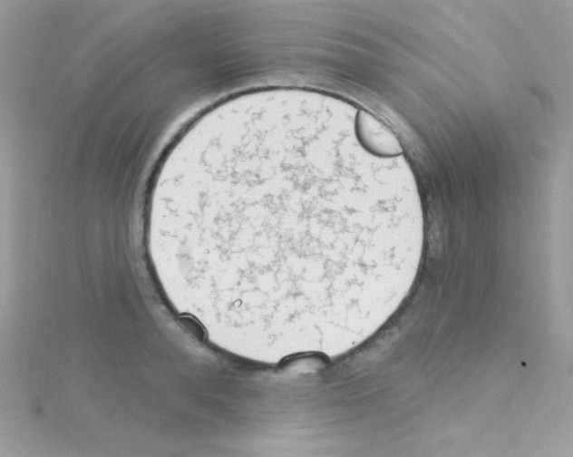 X0000114400896200911271515