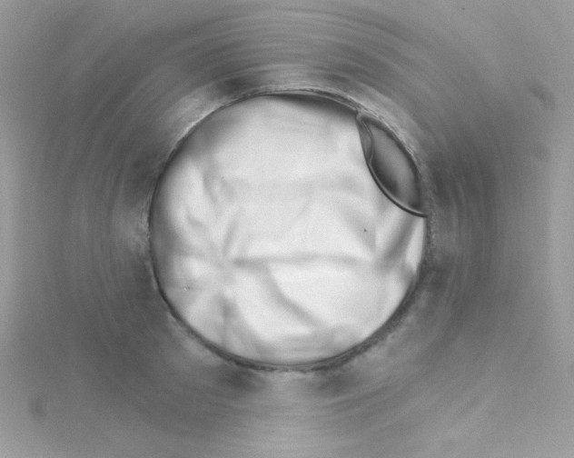 X0000114400897200911271515