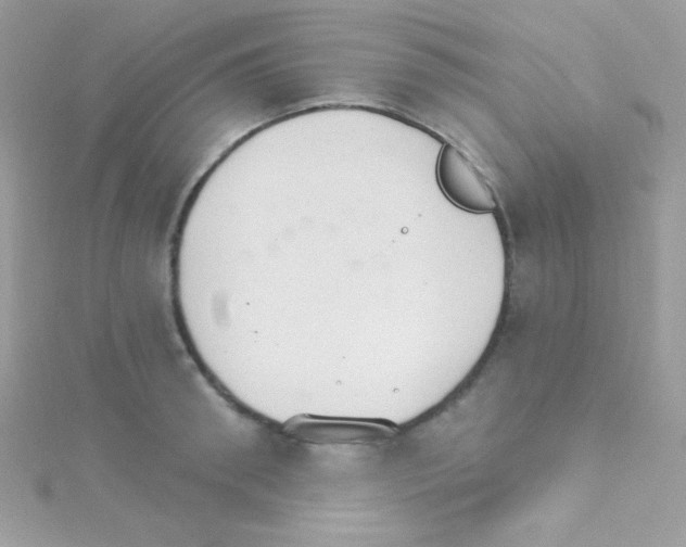 X0000114400898200911271515