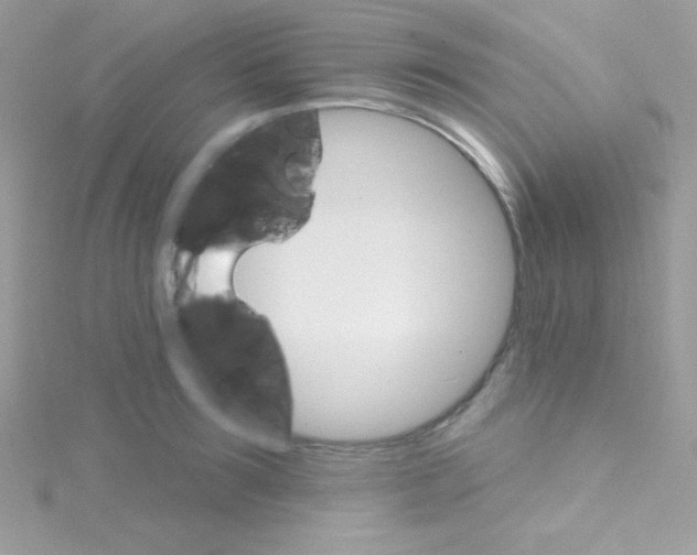 X0000114400899200911271515