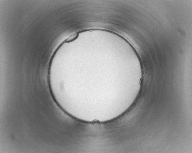 X0000114400901200911271515