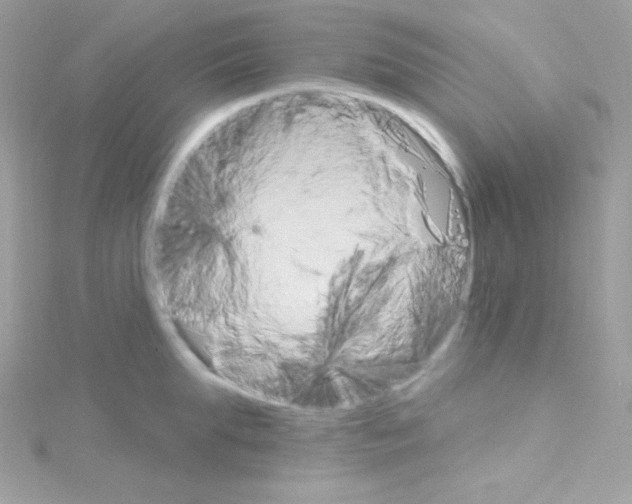 X0000114400903200911271515