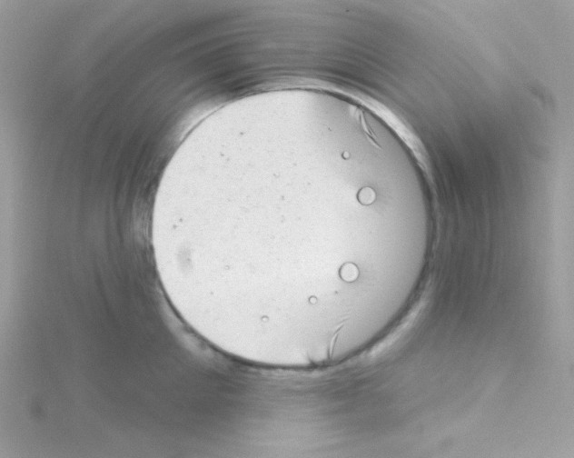 X0000114400905200911271515