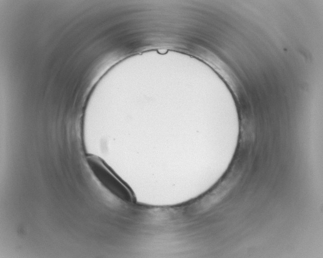 X0000114400906200911271515