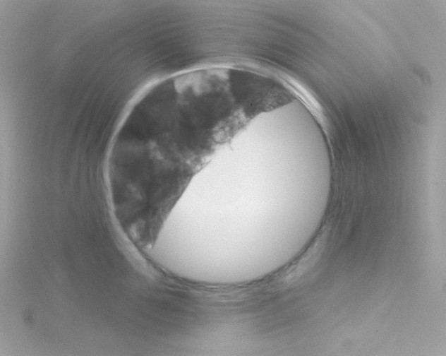 X0000114400907200911271515