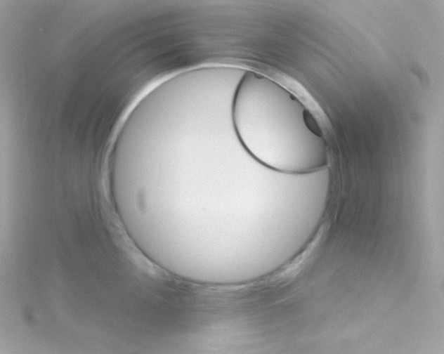 X0000114400908200911271515