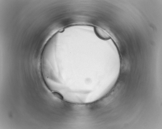 X0000114400909200911271515