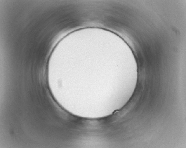 X0000114400911200911271515