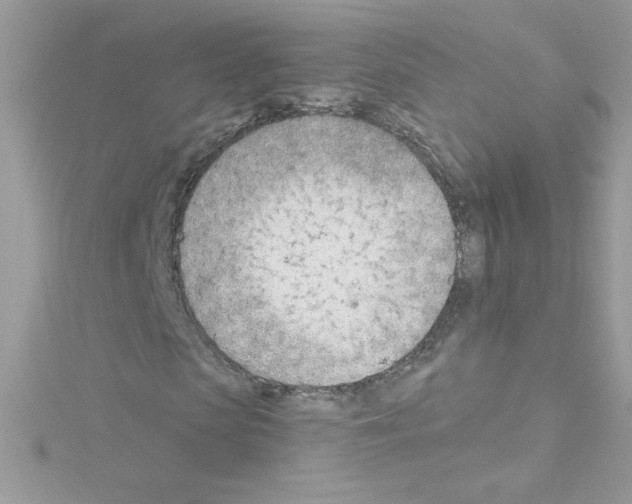 X0000114400913200911271514