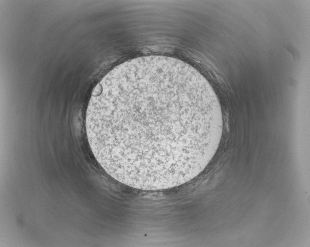 X0000114400915200911271514