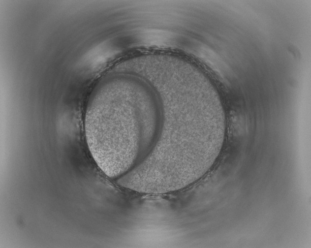 X0000114400918200911271514