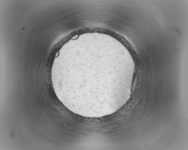 X0000114400919200911271514