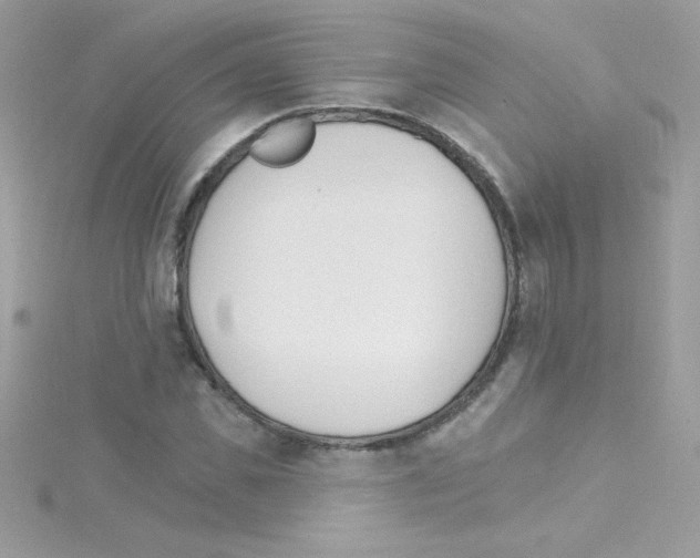 X0000114400925200911271514