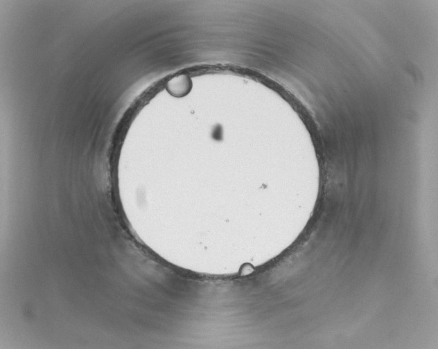 X0000114400927200911271514