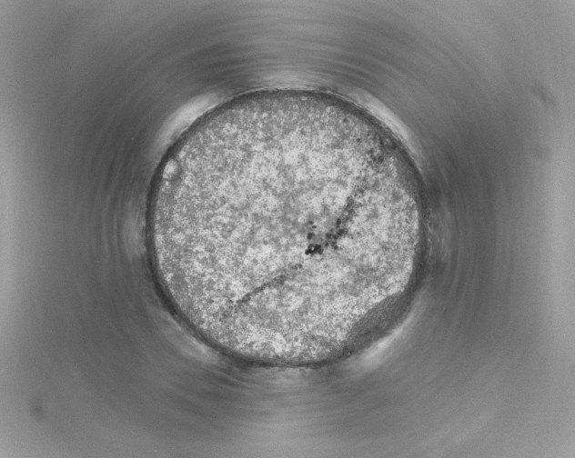 X0000114400930200911271514