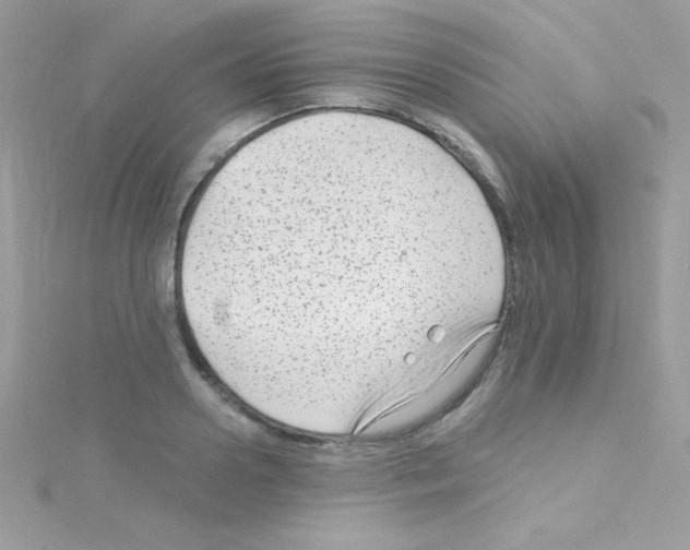 X0000114400938200911271514