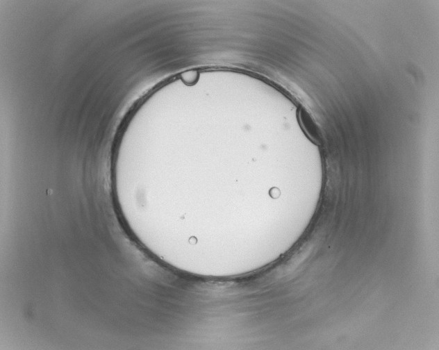 X0000114400939200911271514