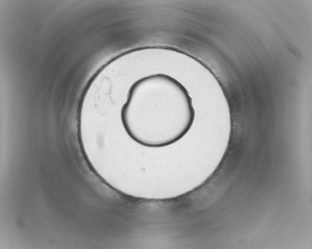 X0000114400950200911271515