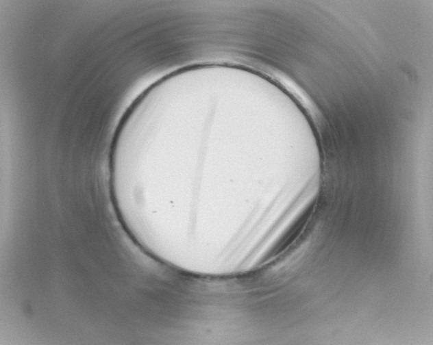 X0000114400951200911271515