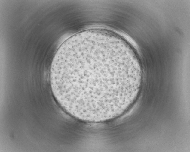 X0000114400953200911271515