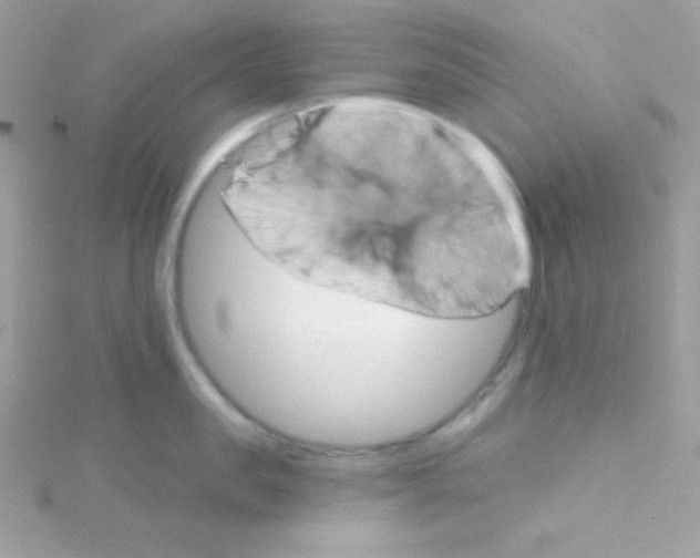 X0000114400957200911271515