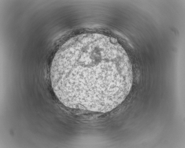 X0000114400966200911271514