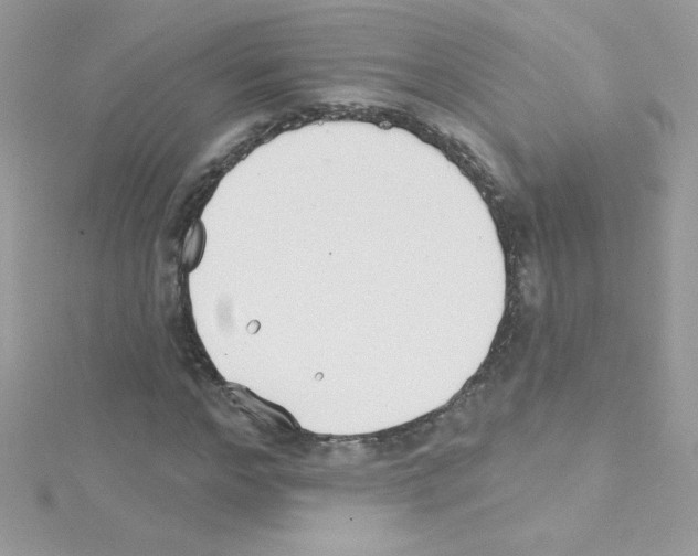 X0000114400968200911271514