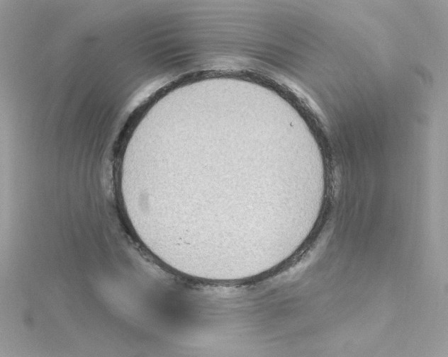 X0000114400970200911271514