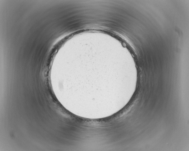 X0000114400971200911271514