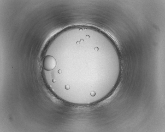 X0000114400974200911271514